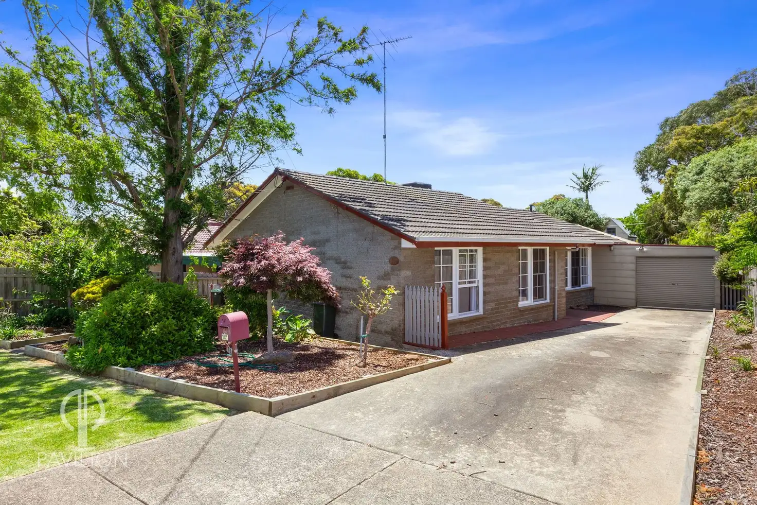 Main view of Homely house listing, 11 Lyrebird Street, Ocean Grove VIC 3226