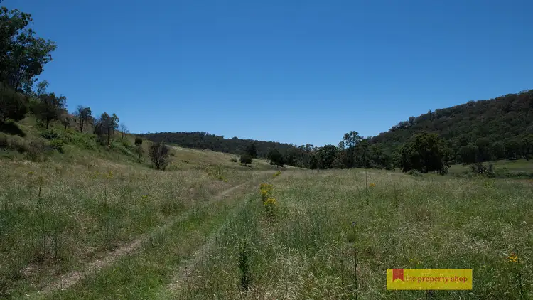 Fourth view of Homely rural property listing, 868 Upper Botobolar Road, Mudgee NSW 2850