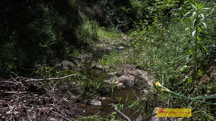 Fifth view of Homely rural property listing, 868 Upper Botobolar Road, Mudgee NSW 2850
