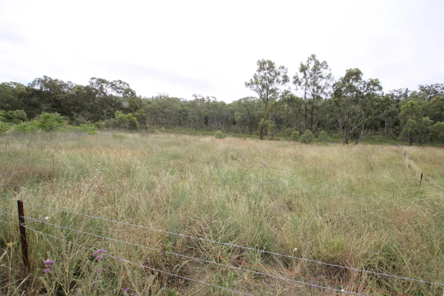 Main view of Homely rural property listing, 6173 Ulan Road, Turill NSW 2850