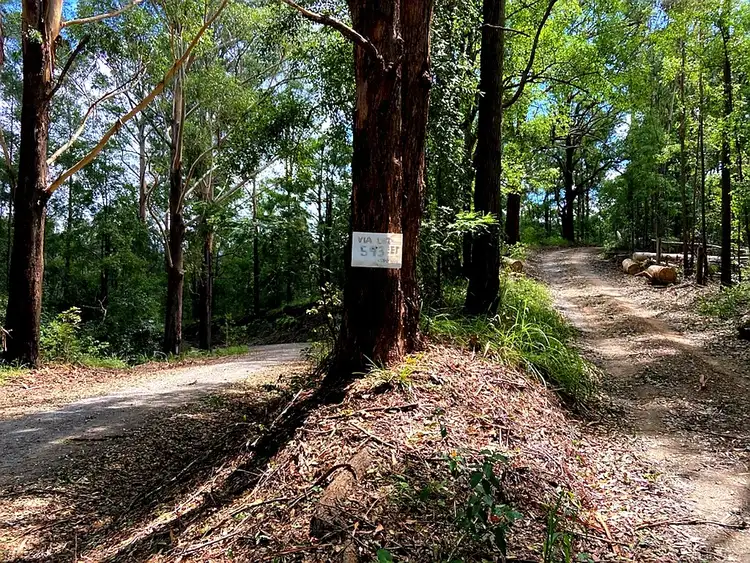 Main view of Homely rural property listing, 593 Dyers Loop Road, Bowraville NSW 2449