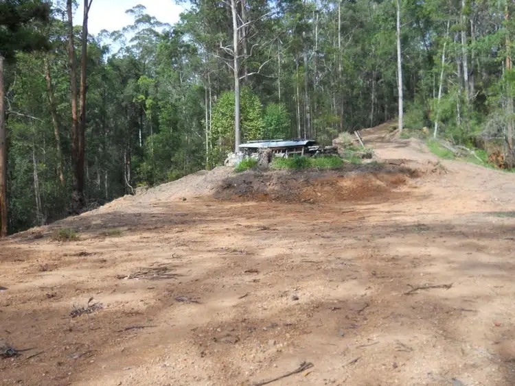 Fourth view of Homely rural property listing, 593 Dyers Loop Road, Bowraville NSW 2449
