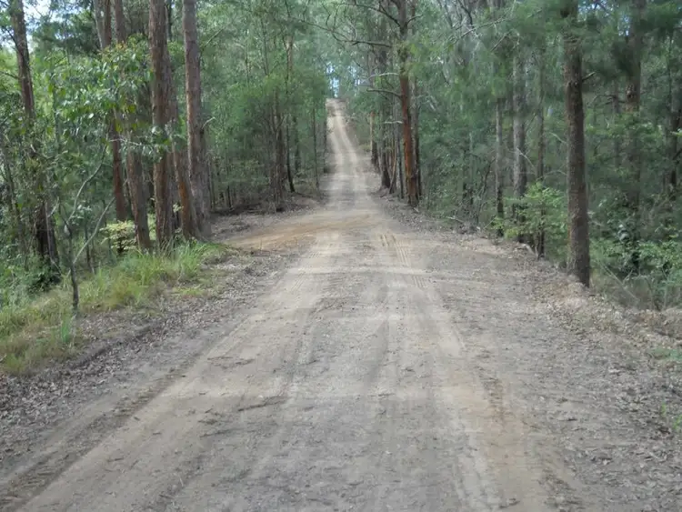 Fifth view of Homely rural property listing, 593 Dyers Loop Road, Bowraville NSW 2449