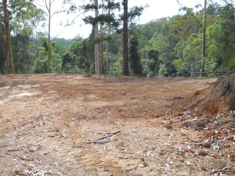Seventh view of Homely rural property listing, 593 Dyers Loop Road, Bowraville NSW 2449