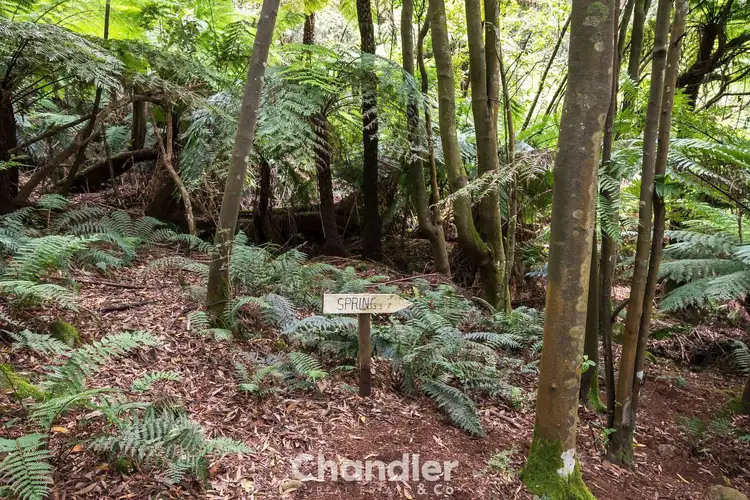 Fourth view of Homely land listing, 37 McCarthy Road, Olinda VIC 3788