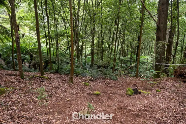 Sixth view of Homely land listing, 37 McCarthy Road, Olinda VIC 3788