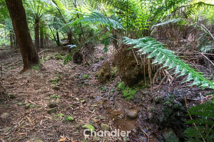 Seventh view of Homely land listing, 37 McCarthy Road, Olinda VIC 3788