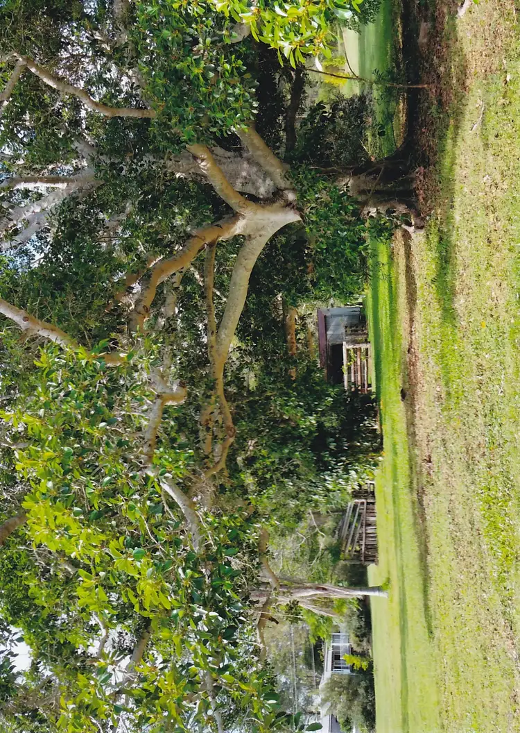Third view of Homely land listing, LOT 2 Station Road, Horton QLD 4660