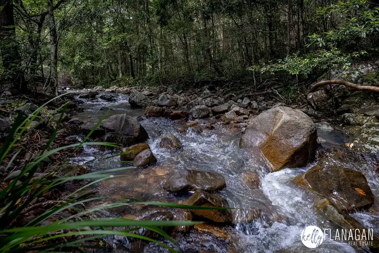 Fourth view of Homely rural property listing, 433 Willi Willi Road, Turners Flat NSW 2440