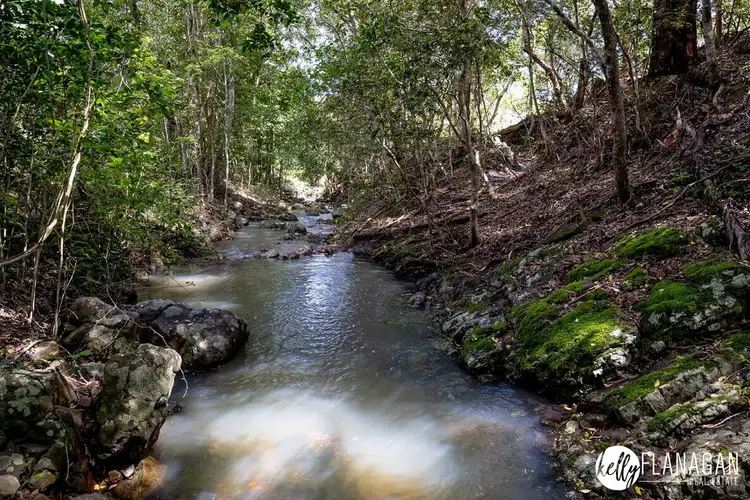 Fifth view of Homely rural property listing, 433 Willi Willi Road, Turners Flat NSW 2440