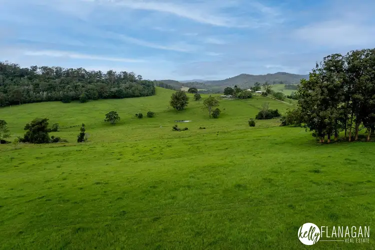 Seventh view of Homely rural property listing, 357 Dungay Creek Road, Yessabah NSW 2440