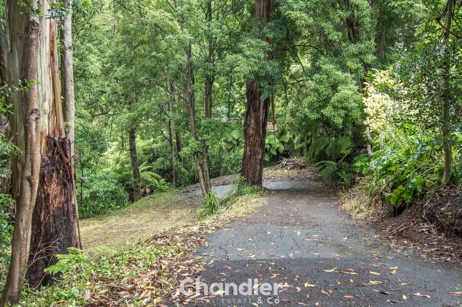 Main view of Homely land listing, 85 Kallista-Emerald Road, The Patch VIC 3792