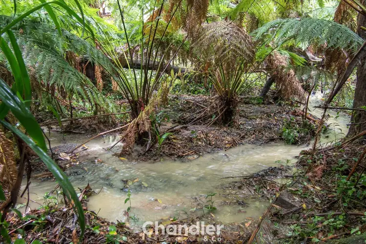 Fourth view of Homely land listing, 85 Kallista-Emerald Road, The Patch VIC 3792