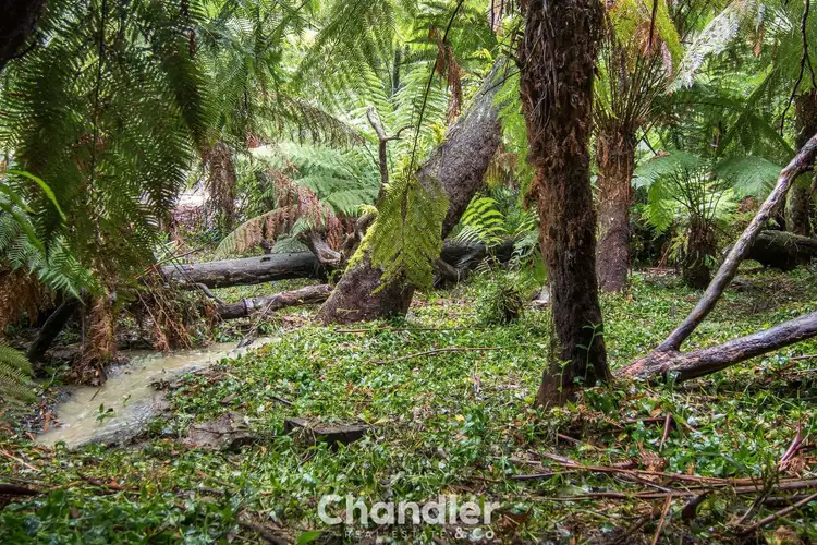 Fifth view of Homely land listing, 85 Kallista-Emerald Road, The Patch VIC 3792