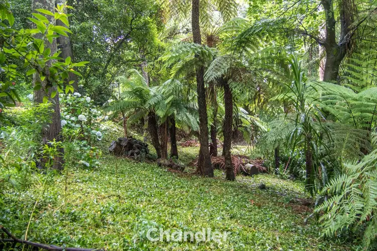 Seventh view of Homely land listing, 85 Kallista-Emerald Road, The Patch VIC 3792