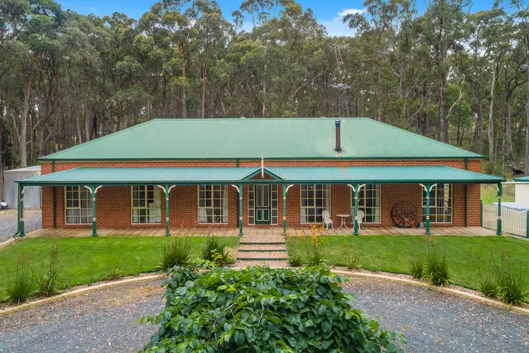 Main view of Homely house listing, 19 Pine Court, Dales Creek VIC 3341