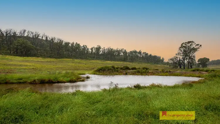 Second view of Homely rural property listing, 308 Turill Bus Route, Turill NSW 2850