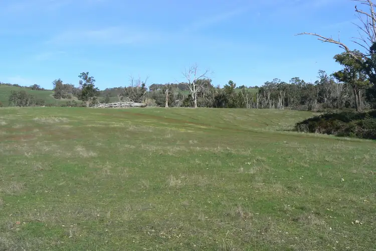 Second view of Homely rural property listing, 443 Thomson Brook Road, Thomson Brook WA 6239