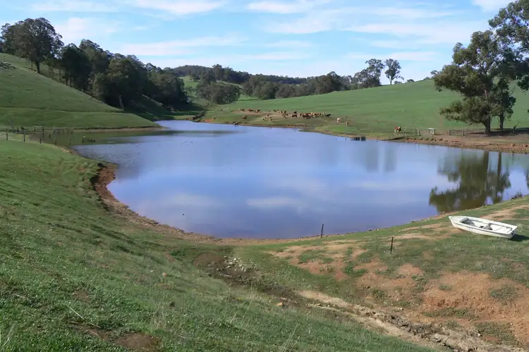 Third view of Homely rural property listing, 443 Thomson Brook Road, Thomson Brook WA 6239