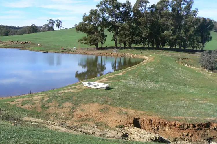 Fourth view of Homely rural property listing, 443 Thomson Brook Road, Thomson Brook WA 6239
