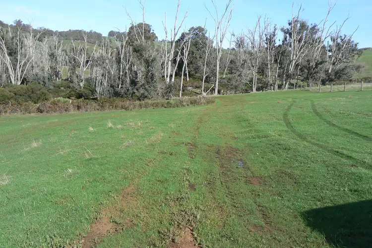 Fifth view of Homely rural property listing, 443 Thomson Brook Road, Thomson Brook WA 6239