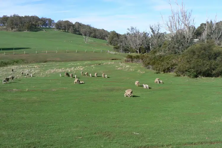 Sixth view of Homely rural property listing, 443 Thomson Brook Road, Thomson Brook WA 6239