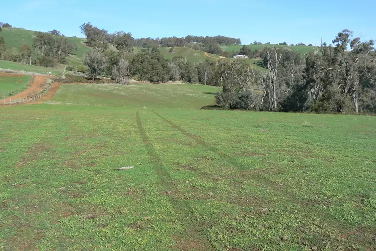 Seventh view of Homely rural property listing, 443 Thomson Brook Road, Thomson Brook WA 6239