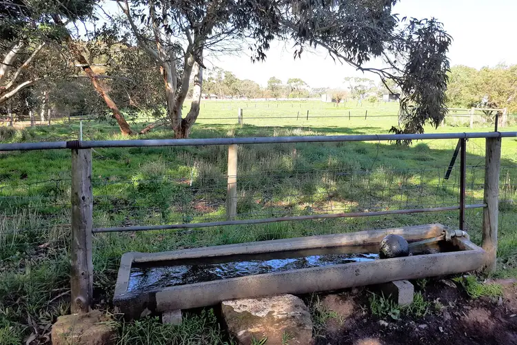 Fifth view of Homely land listing, 1/173 Acacia Drive, Millicent SA 5280