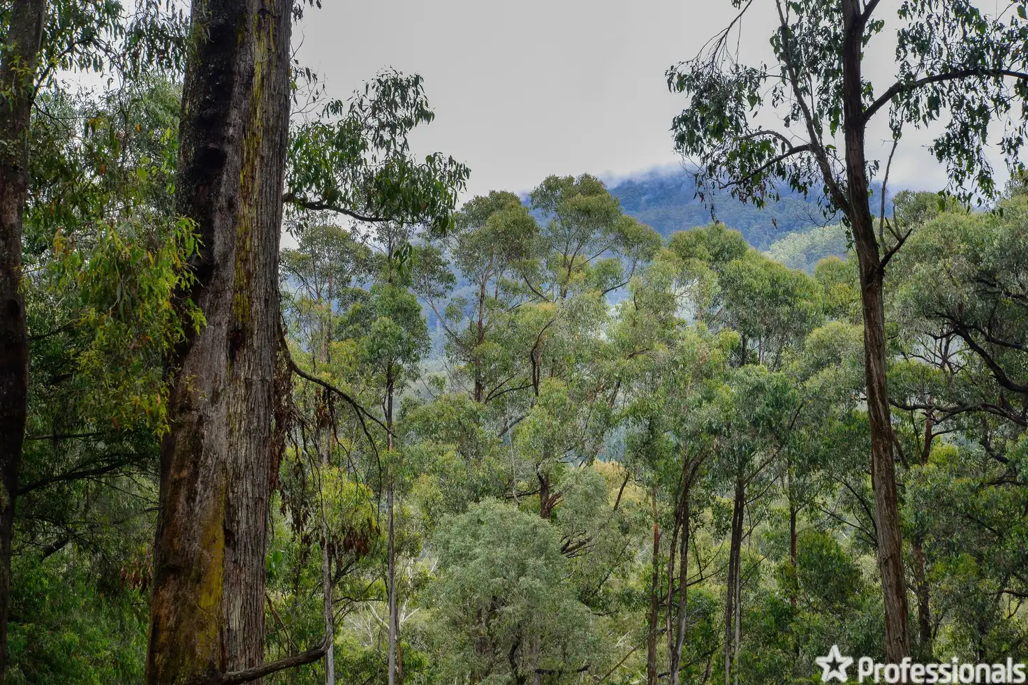 Main view of Homely land listing, Part/6 Yarra Valley Crescent, East Warburton VIC 3799