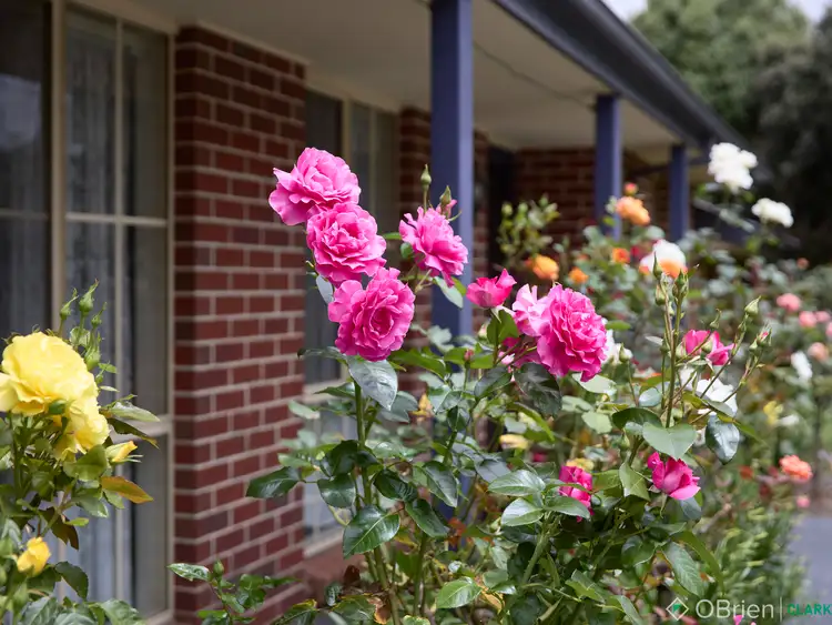 Second view of Homely house listing, 10 Palm Square, Drouin VIC 3818