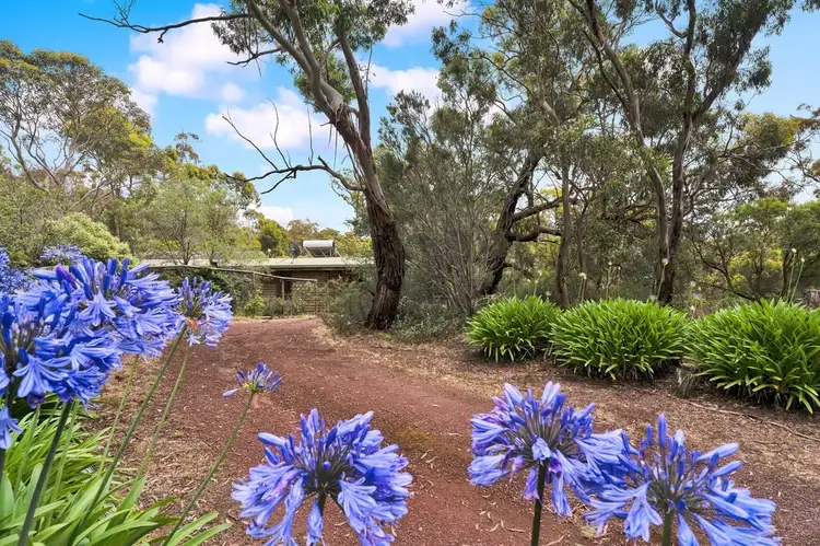 Main view of Homely house listing, 734 Beremboke Road, Beremboke VIC 3342