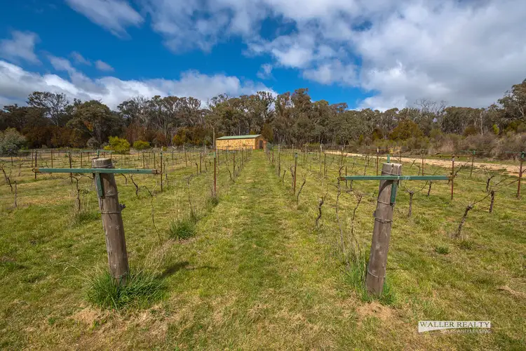 Seventh view of Homely land listing, 315 Railway Dam Road, Fryerstown VIC 3451