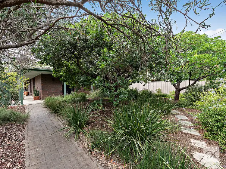 37 Balmoral Avenue, Magill SA 5072