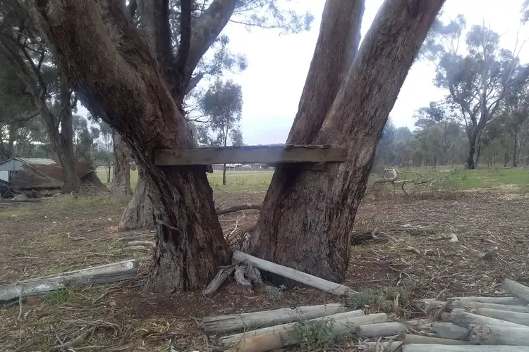 Seventh view of Homely rural property listing, 65 Eddington-Dunolly Road, Dunolly VIC 3472