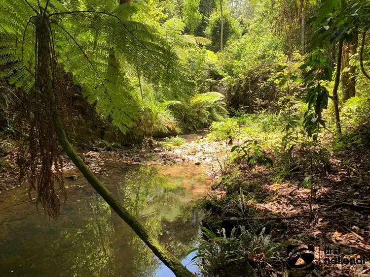 Fourth view of Homely land listing, 265C Dairyville Road, Upper Orara NSW 2450