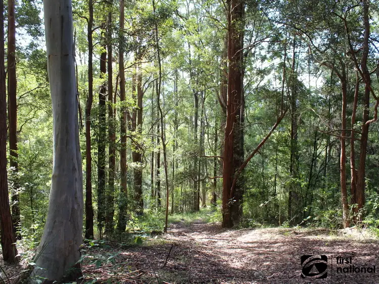 Fifth view of Homely land listing, 265C Dairyville Road, Upper Orara NSW 2450