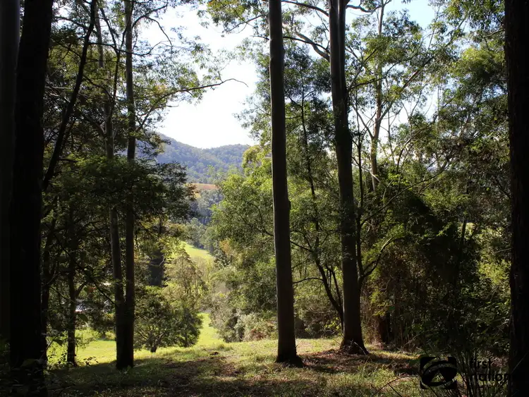 Sixth view of Homely land listing, 265C Dairyville Road, Upper Orara NSW 2450