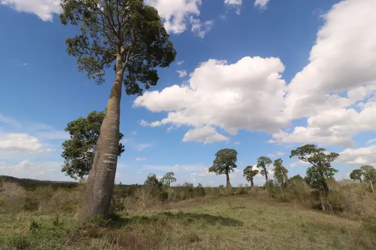 Fourth view of Homely rural property listing, 192 River Road, Good Night QLD 4671