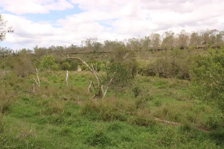 Fourth view of Homely rural property listing, 228 River Road, Good Night QLD 4671