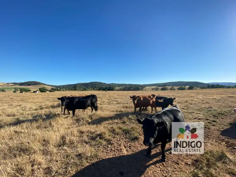 Fourth view of Homely land listing, 14 Honeyeater Lane, Wooragee VIC 3747
