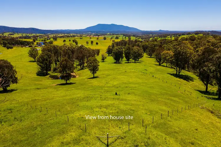339 Coolagolite Road, Bermagui NSW 2546