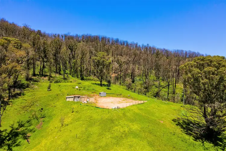Fifth view of Homely rural property listing, 339 Coolagolite Road, Bermagui NSW 2546