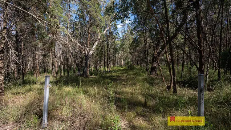 Second view of Homely rural property listing, 290 Cypress Drive, Mudgee NSW 2850