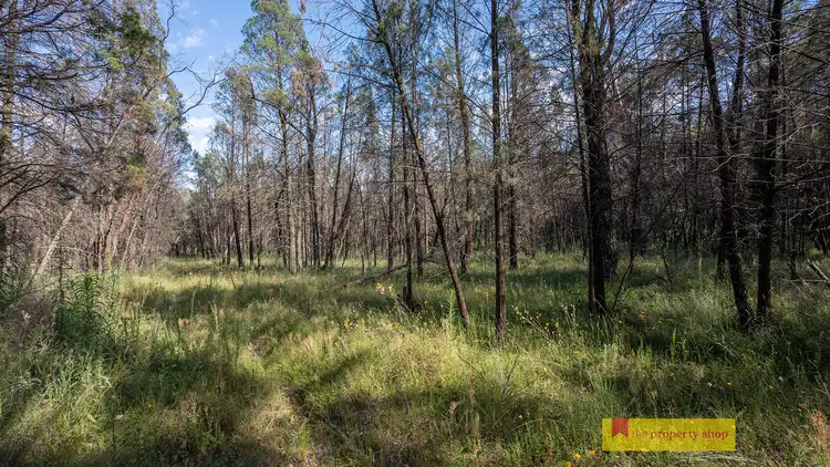 Third view of Homely rural property listing, 290 Cypress Drive, Mudgee NSW 2850