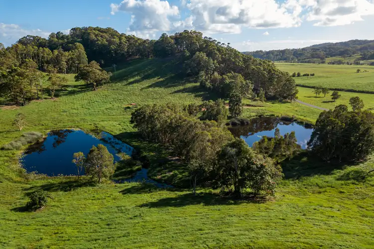 Fourth view of Homely land listing, 771 Round Mountain Road, Reserve Creek NSW 2484