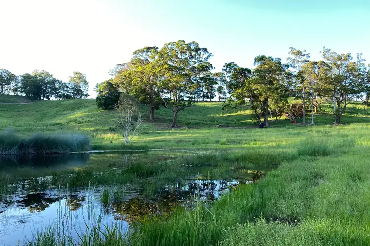 Fifth view of Homely land listing, 771 Round Mountain Road, Reserve Creek NSW 2484