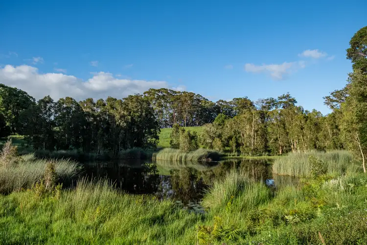 Sixth view of Homely land listing, 771 Round Mountain Road, Reserve Creek NSW 2484