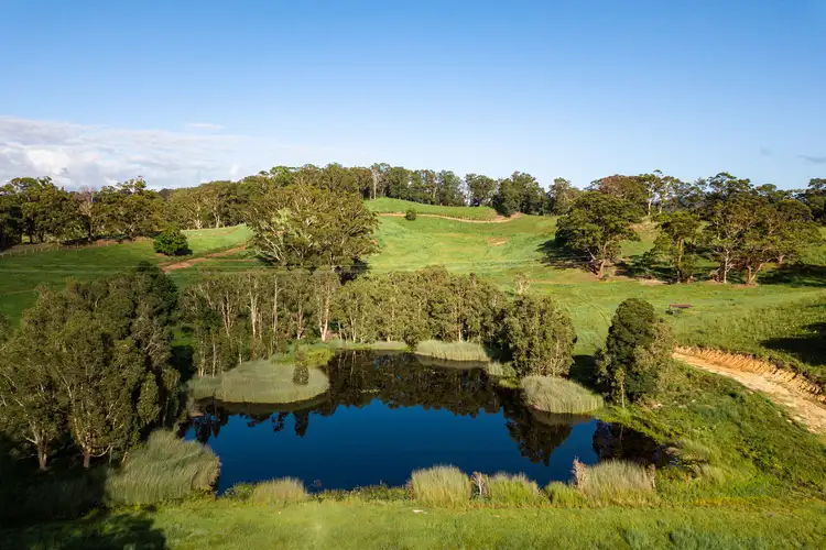 Seventh view of Homely land listing, 771 Round Mountain Road, Reserve Creek NSW 2484