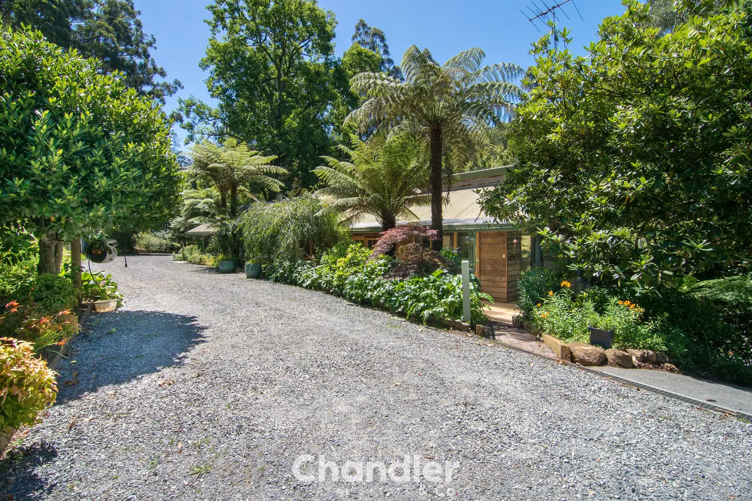 Main view of Homely house listing, 164-170 Monbulk Road, Kallista VIC 3791