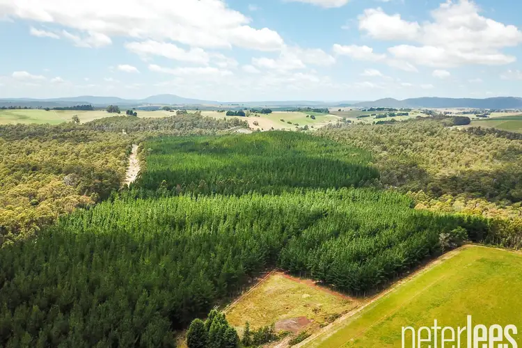 Main view of Homely rural property listing, 139 Lauderdale Road, Jetsonville TAS 7260